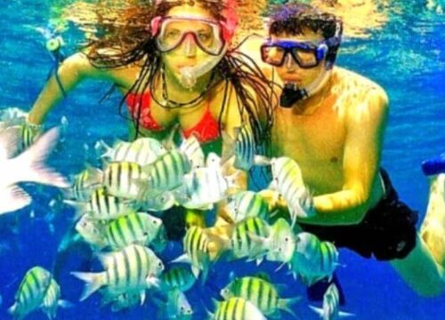 Catalina Island and Snorkeling