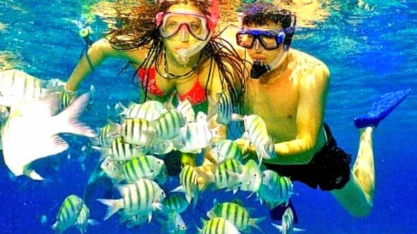 Catalina Island and Snorkeling