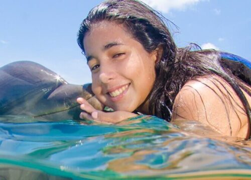 Dolphin Funtastic