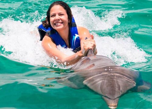 Dolphin Explorer