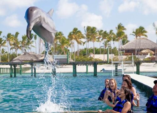 Tour Finder Pro | Reliable Tours Agency in Punta Cana | 2024 - 25