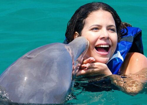 Tour Finder Pro | Reliable Tours Agency in Punta Cana | 2024 - 25