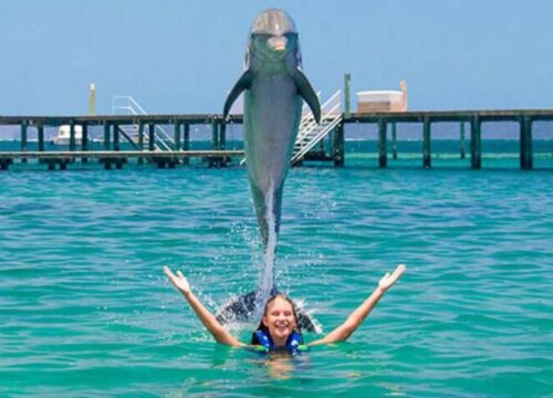 Tour Finder Pro | Reliable Tours Agency in Punta Cana | 2024 - 25