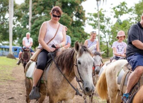 Tour Finder Pro | Reliable Tours Agency in Punta Cana | 2024 - 25