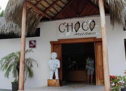 Tour Finder Pro | Reliable Tours Agency in Punta Cana | 2024 - 25