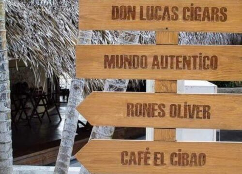 Tour Finder Pro | Reliable Tours Agency in Punta Cana | 2024 - 25