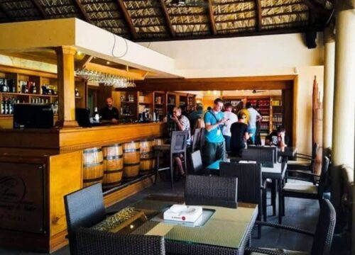 Tour Finder Pro | Reliable Tours Agency in Punta Cana | 2024 - 25