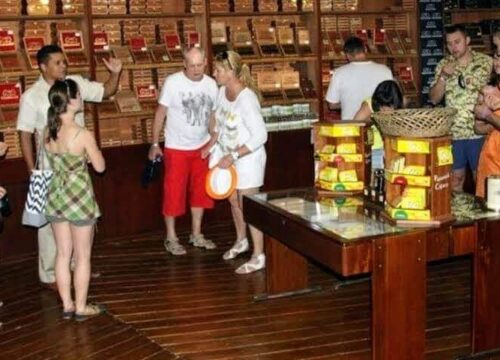Tour Finder Pro | Reliable Tours Agency in Punta Cana | 2024 - 25