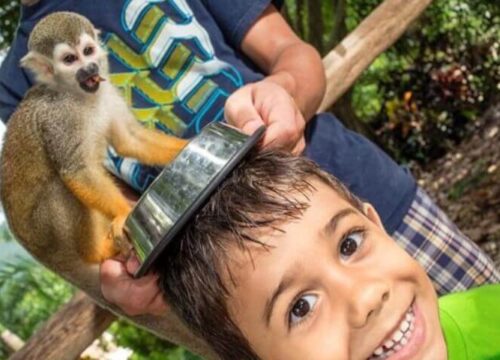 Tour Finder Pro | Reliable Tours Agency in Punta Cana | 2024 - 25