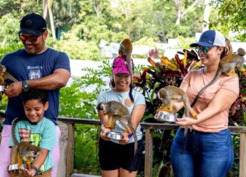 Tour Finder Pro | Reliable Tours Agency in Punta Cana | 2024 - 25