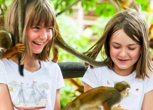 Tour Finder Pro | Reliable Tours Agency in Punta Cana | 2024 - 25