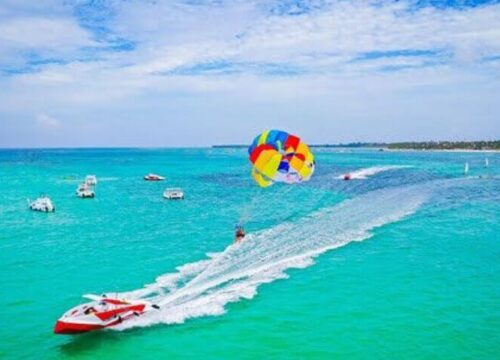Tour Finder Pro | Reliable Tours Agency in Punta Cana | 2024 - 25