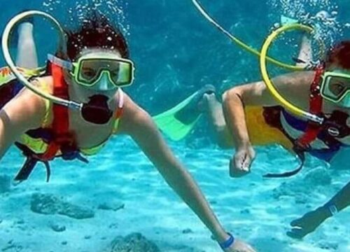 Tour Finder Pro | Reliable Tours Agency in Punta Cana | 2024 - 25