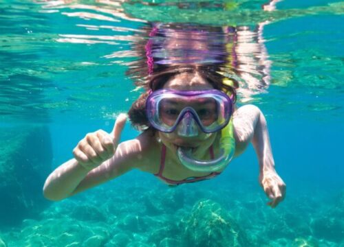 Tour Finder Pro | Reliable Tours Agency in Punta Cana | 2024 - 25