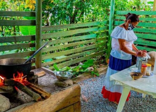 Tour Finder Pro | Reliable Tours Agency in Punta Cana | 2024 - 25
