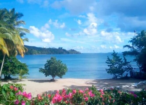 Tour Finder Pro | Reliable Tours Agency in Punta Cana | 2024 - 25
