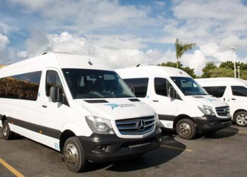 Tour Finder Pro | Reliable Tours Agency in Punta Cana | 2024 - 25