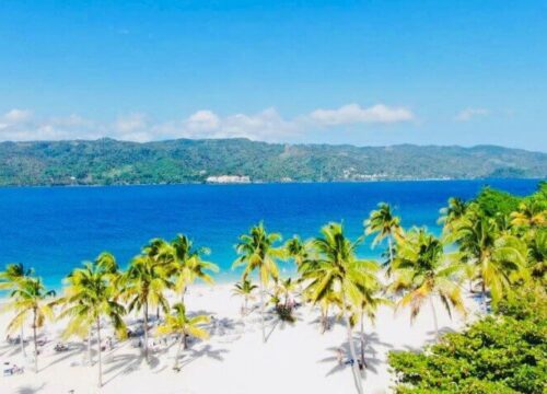 Tour Finder Pro | Reliable Tours Agency in Punta Cana | 2024 - 25