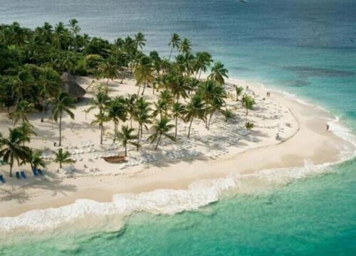 Tour Finder Pro | Reliable Tours Agency in Punta Cana | 2024 - 25