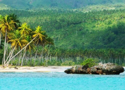 Tour Finder Pro | Reliable Tours Agency in Punta Cana | 2024 - 25
