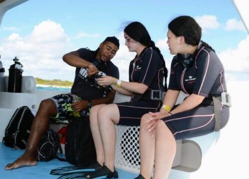 Tour Finder Pro | Reliable Tours Agency in Punta Cana | 2024 - 25