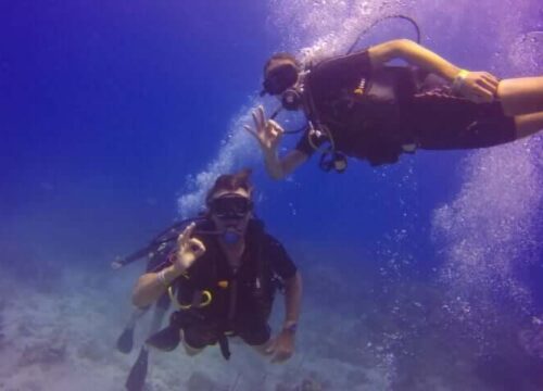 Tour Finder Pro | Reliable Tours Agency in Punta Cana | 2024 - 25
