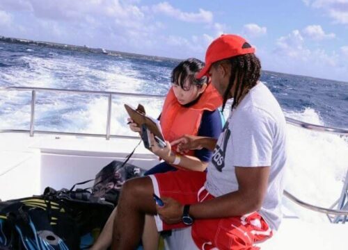 Tour Finder Pro | Reliable Tours Agency in Punta Cana | 2024 - 25