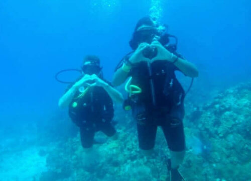 Tour Finder Pro | Reliable Tours Agency in Punta Cana | 2024 - 25