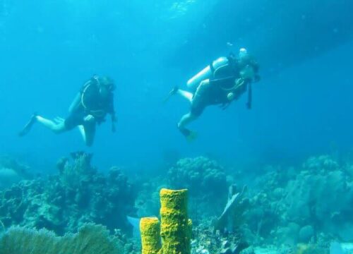 Tour Finder Pro | Reliable Tours Agency in Punta Cana | 2024 - 25