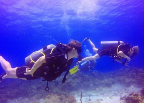 Tour Finder Pro | Reliable Tours Agency in Punta Cana | 2024 - 25
