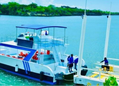 Tour Finder Pro | Reliable Tours Agency in Punta Cana | 2024 - 25