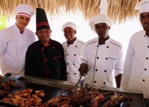 Tour Finder Pro | Reliable Tours Agency in Punta Cana | 2024 - 25