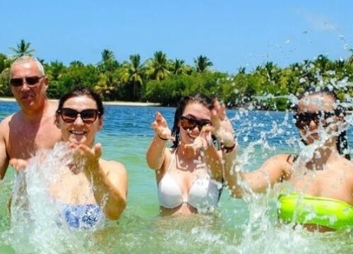 Tour Finder Pro | Reliable Tours Agency in Punta Cana | 2024 - 25