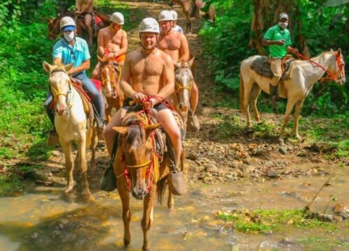 Tour Finder Pro | Reliable Tours Agency in Punta Cana | 2024 - 25